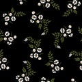 Dark Summer Trendy white blowing daisy Floral pattern meadow flowers. Wild botanical Motifs scattered random. Seamless vector Royalty Free Stock Photo