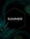 Dark summer tropical background with exotic palm leaves. Vector floral template.