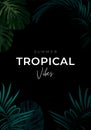 Dark summer tropical background with exotic palm leaves. Vector floral template.