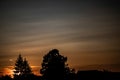 Dark sunset with trees in front Royalty Free Stock Photo