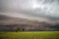 A dark supercell storm with a low shelf cloud fills the sky over a field. Royalty Free Stock Photo