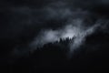 Dark surreal ethereal landscape with mist covering mountain pine forest