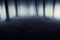 Dark surreal forest with fog at night