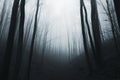 Dark surreal forest at night Royalty Free Stock Photo