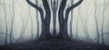 Dark symmetrical forest with strange huge tree and mysterious fog Royalty Free Stock Photo