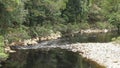 The black river in the tarkine rain forest of tasmania