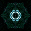 Dark teal vibrant psychedelic background effect all seeing eye fractal mandala on black background Royalty Free Stock Photo