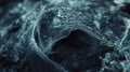 Dark textured surface with delicate spider silk threads