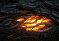 Dark, textured tree bark with a glowing orange light emerging from a gap. Intertwined Royalty Free Stock Photo