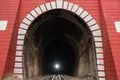 From dark to light. Old railroad tunnel