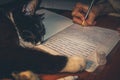 Toned image of writing girl`s hand and black and white cat sleeping on notebook. Royalty Free Stock Photo