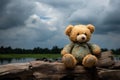 Dark toned vintage bear doll evokes solitude, a silent sentinel