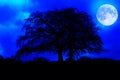 Dark tree silhouette with a glowing full moon