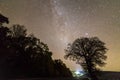 Dark trees along road under black sky with myriads of white stars and bright lights in distance