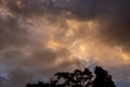 Dark trees silhouetted against a stormy sky Royalty Free Stock Photo