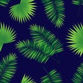 Dark tropic seamless pattern. Summer background with tropical palms leaves. Exotic plants elements. Vector wallpaper