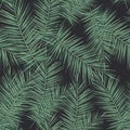 Dark tropical background with jungle plants. Seamless vector tropical pattern with green palm leaves. Royalty Free Stock Photo