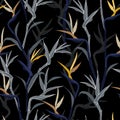 Dark Tropical flowers, bird of paradise flower. Beautiful seamless vector floral jungle pattern background, Royalty Free Stock Photo