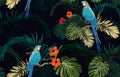Dark tropical seamless pattern with exotic monstera and royal palm leaves, hibiscus flowers, blue macaws and branches Royalty Free Stock Photo