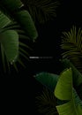 Dark tropical summer design with banana palm leaves, glowing frame and space for text. Vector flyer, banner or card