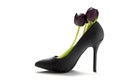 Dark tulisps in a ladies black high heel shoe in profile, isolated on white, copy space Royalty Free Stock Photo