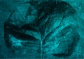 Dark turquoise grunge leaf abstract vintage background