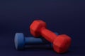 Dark view of two Hand weights, red and blue, each of Five pounds, close-up on dark blue background Royalty Free Stock Photo