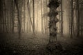 Dark vintage photo of a forest with fog and strange tree