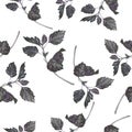 Dark violet basil leaf pattern. Hand drawn illustration.