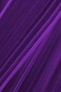 Dark violet floral background. Striped leaf of reed canary grass close-up. Deep purple tinted backdrop or wallpaper from plant