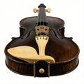 Dark Violin Body With Bone Colored Chinrest Royalty Free Stock Photo