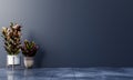 Dark wall empty room with plants on a floor Royalty Free Stock Photo