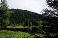 Dark water in front of dark trees at Lac de Lispach Royalty Free Stock Photo