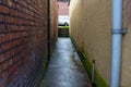 Dark Wet Alleyway