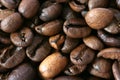 Dark whole coffee beans background Royalty Free Stock Photo