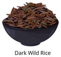 Dark wild rice dish. Asian grain meal Royalty Free Stock Photo