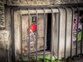 Dark window to the cellar with a scary clown pic on it.