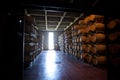 Dark wine storage in Mendoza Argentina Royalty Free Stock Photo