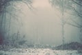 Dark winter landscape with snowy trees in the forest. Lots of copy space Royalty Free Stock Photo