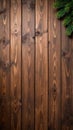 Dark Wood Plank Background with Evergreen Branch in Upper Right Corner Royalty Free Stock Photo