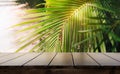 Dark wood table top Bar with blur on green palm leaves or tree in tropical forest with bokeh light at background Royalty Free Stock Photo