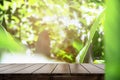 Dark wood table top Bar with blur on green palm leaves or tree in tropical forest with bokeh light at background Royalty Free Stock Photo