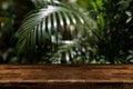 Dark wood table top with blur on green palm leaves or tree in tr Royalty Free Stock Photo