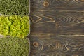 On a dark wooden background - three boxes with microgreens of broccoli, sorrel and Mizuna cabbage. Copy space Super food
