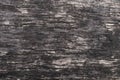 Dark wooden surface. Grunge wood wall pattern. Hardwood dirty floor. Nature background. Black plywood, board texture. Royalty Free Stock Photo