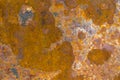 Dark worn rusty metal texture background. Rust texture on metal sheet abstrack background concept. old metal iron rust Royalty Free Stock Photo