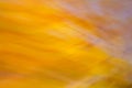 Dark yellow autumn abstract wavy background Royalty Free Stock Photo