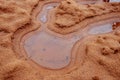 Dark yellow sand on the bank of river with reflections in the water of puddle. Autumn on the north, mainly cloudy