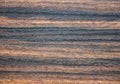 Dark zebrano oak, natural stripe pattern on a flat, polished wood surface Royalty Free Stock Photo