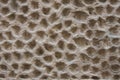 Darkbrown clay wall with holes. Royalty Free Stock Photo